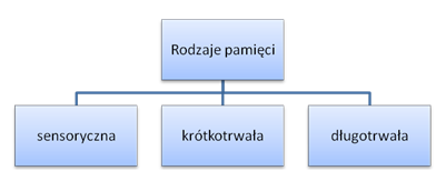 rodzaje-pamieci